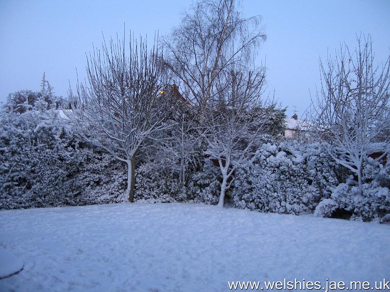 2009-12-18 09.JPG